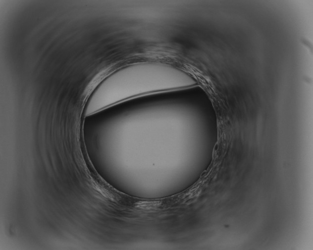 X0000095690051200801081048