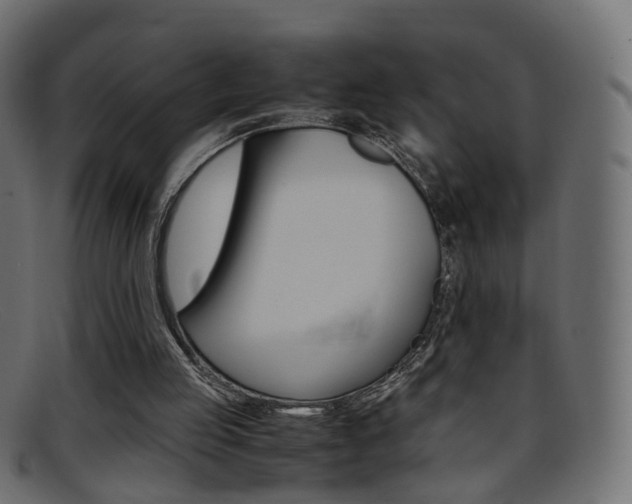 X0000095690053200801081048