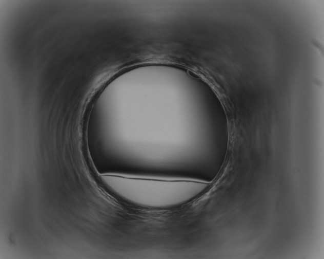 X0000095690055200801081048
