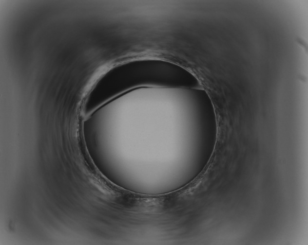 X0000095690056200801081048