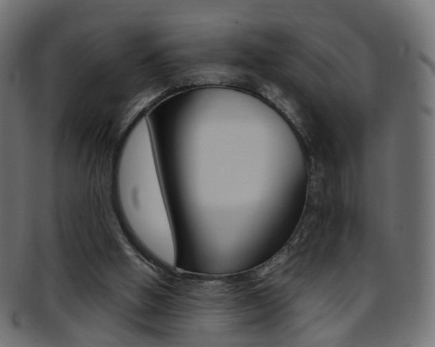 X0000095690058200801081048