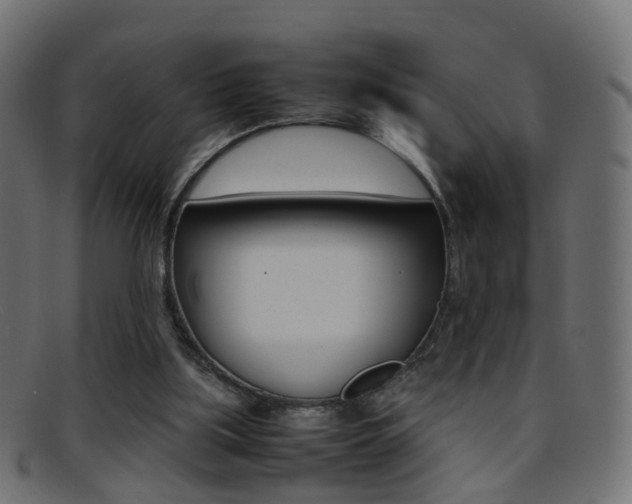 X0000095690059200801081048