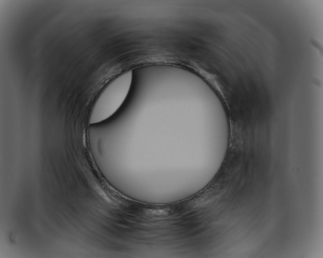 X0000095690061200801081048