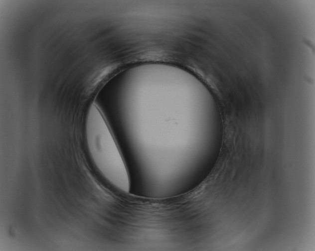 X0000095690062200801081048