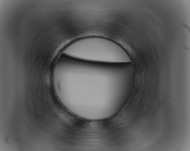 X0000095690064200801081048