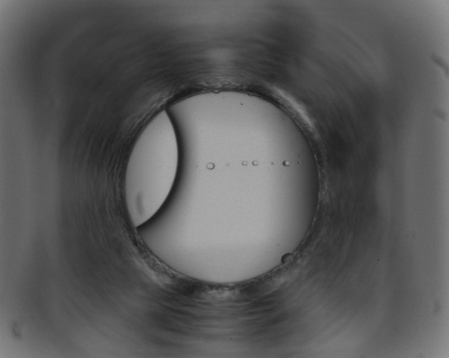 X0000095690065200801081048