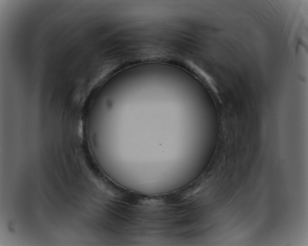 X0000095690067200801081048