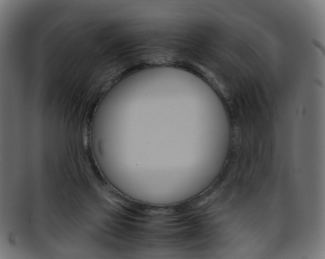 X0000095690069200801081048