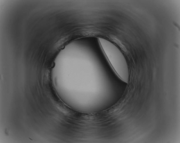 X0000095690071200801081048