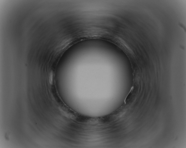 X0000095690076200801081048