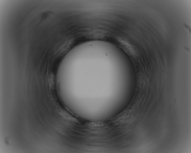 X0000095690077200801081048