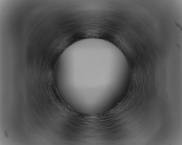 X0000095690079200801081048