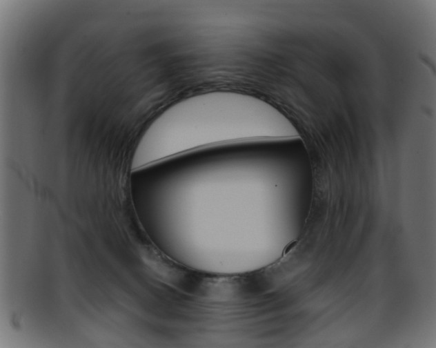X0000095690082200801081048