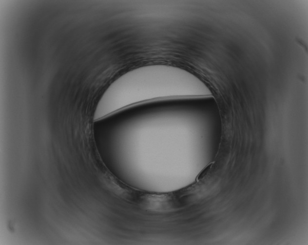 X0000095690085200801081048