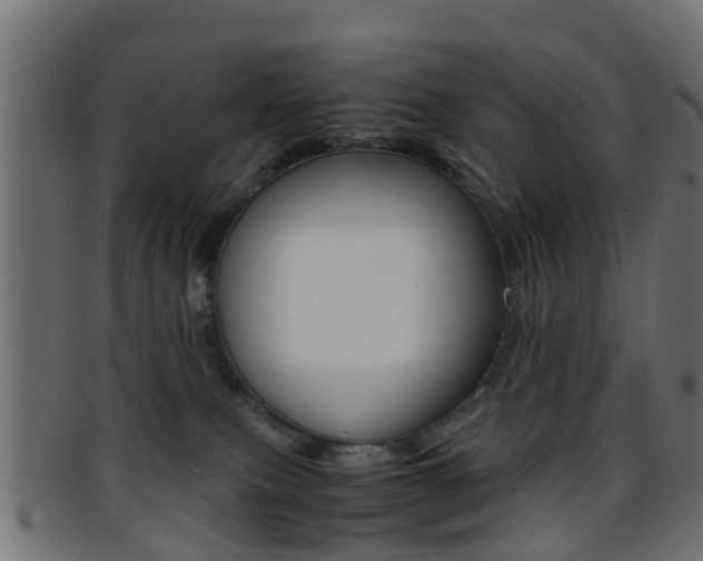 X0000095690087200801081048