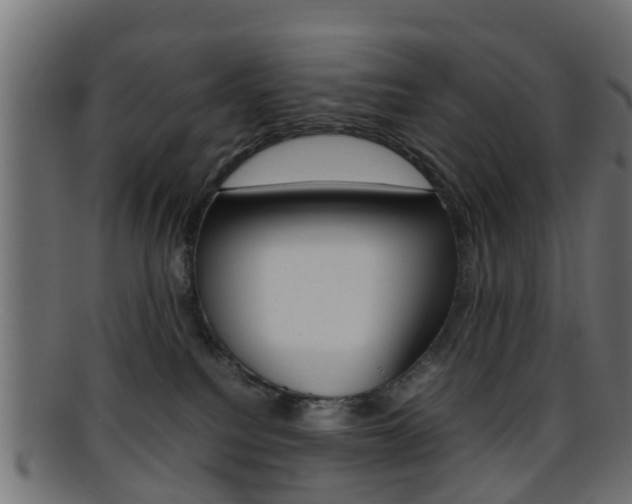 X0000095690088200801081048