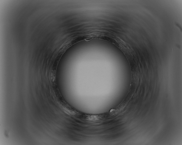 X0000095690091200801081048