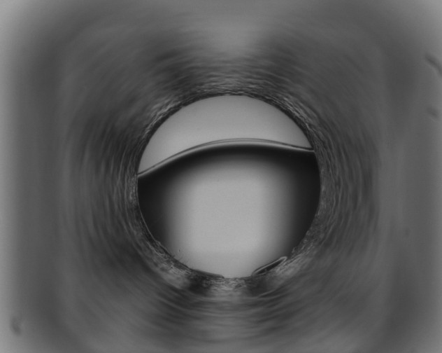 X0000095690096200801081048