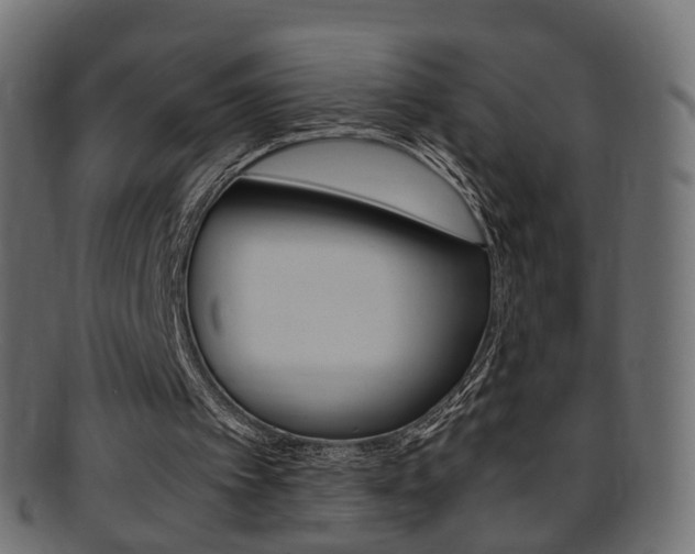 X0000095690097200801081048