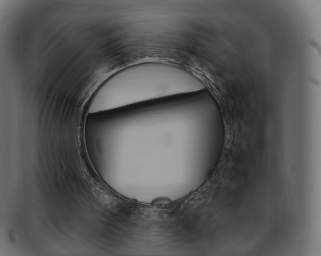 X0000095690098200801081048