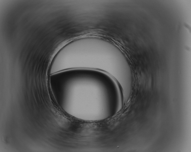 X0000095690100200801081047