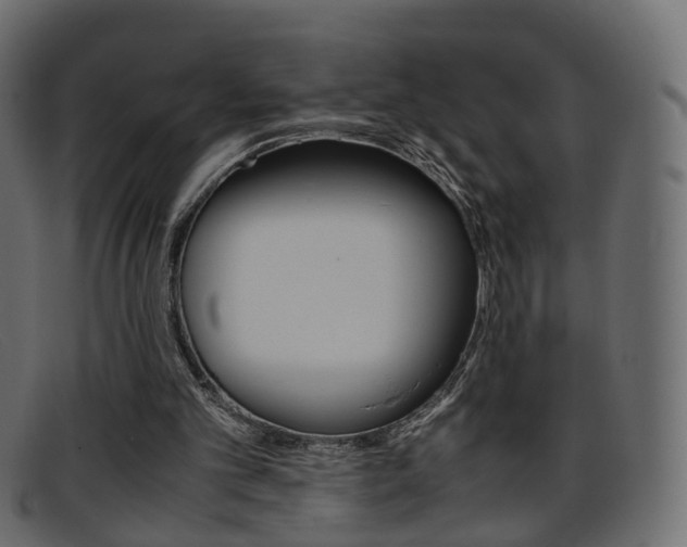 X0000095690101200801081047