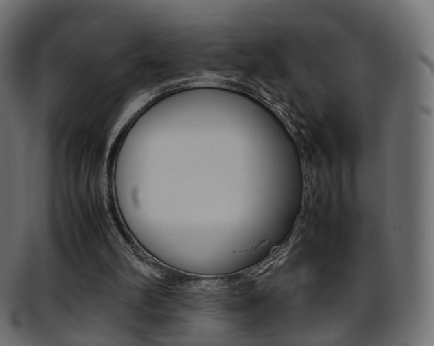 X0000095690102200801081047