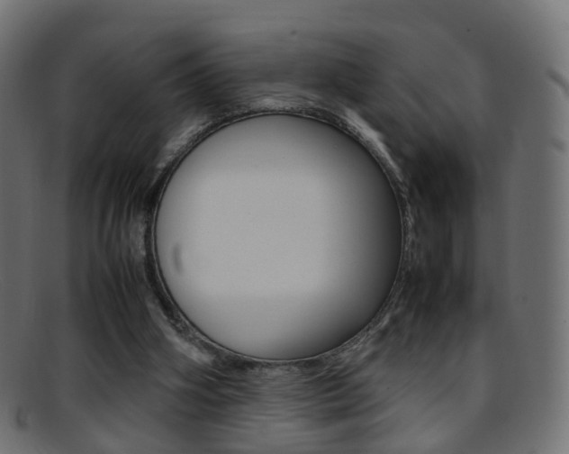 X0000095690106200801081047
