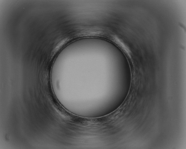 X0000095690107200801081047
