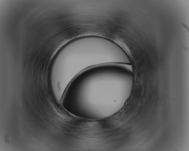 X0000095690108200801081047