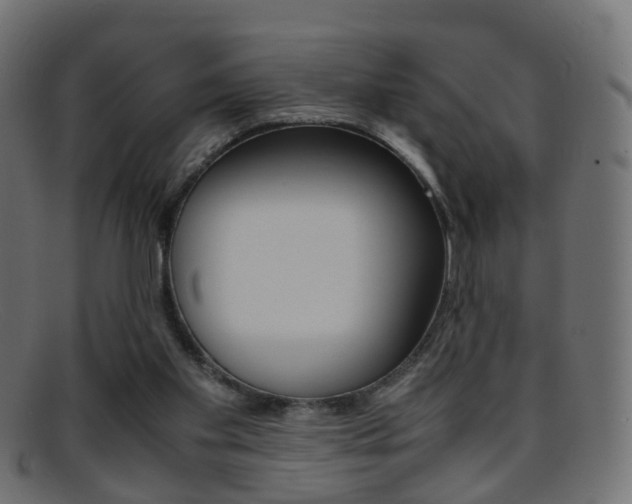 X0000095690109200801081047