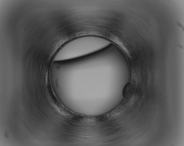 X0000095690110200801081047