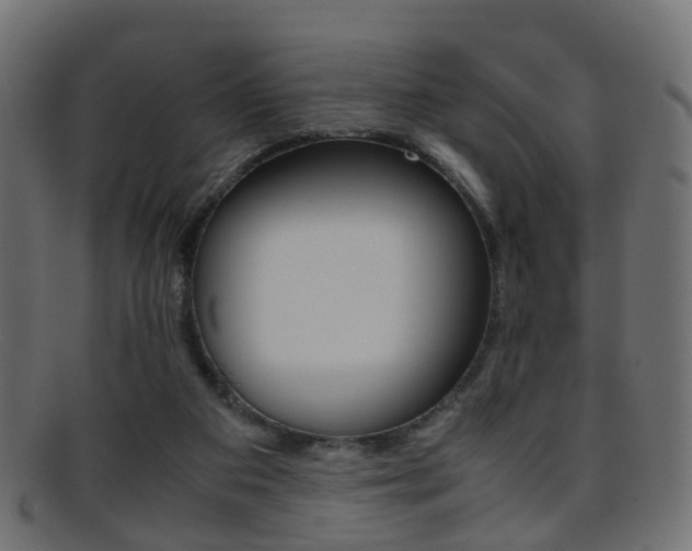 X0000095690113200801081047