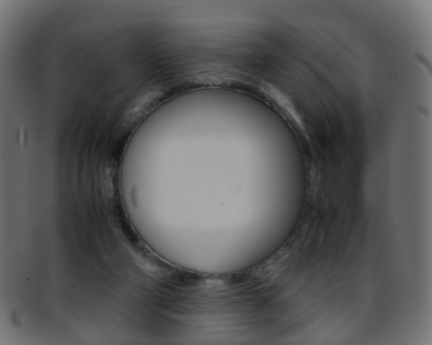 X0000095690114200801081047