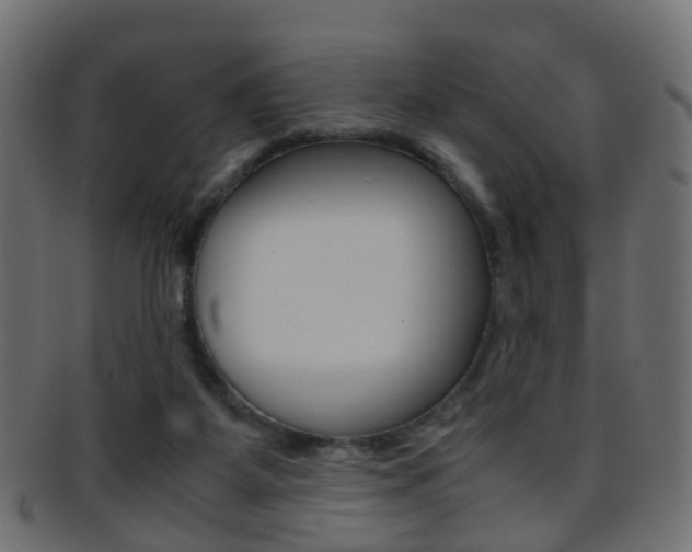 X0000095690115200801081047