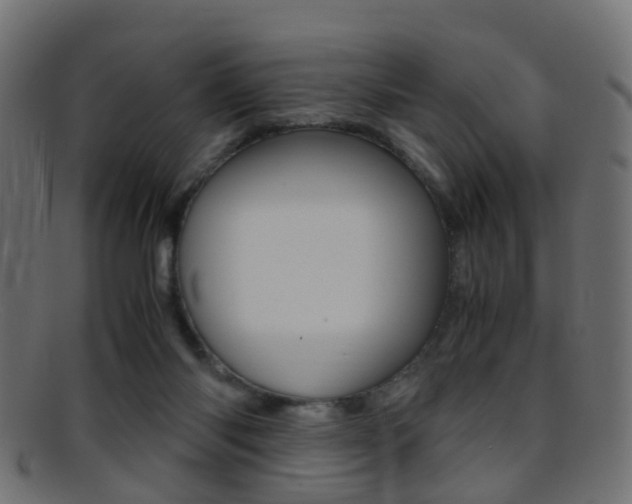 X0000095690118200801081047
