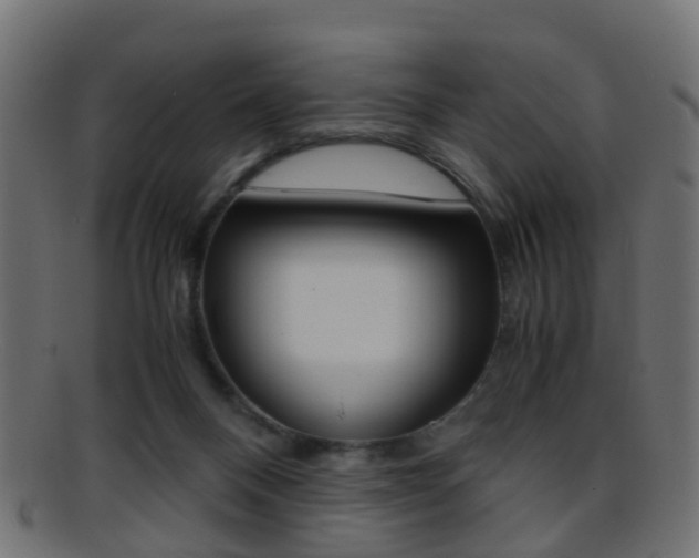 X0000095690120200801081047