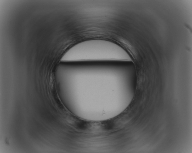 X0000095690121200801081047
