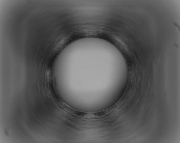 X0000095690123200801081047
