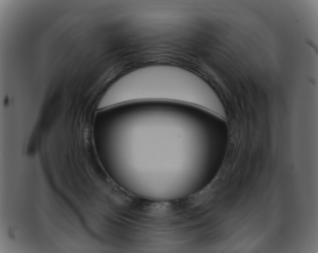 X0000095690124200801081047