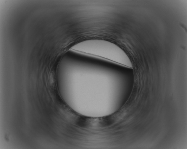X0000095690131200801081047