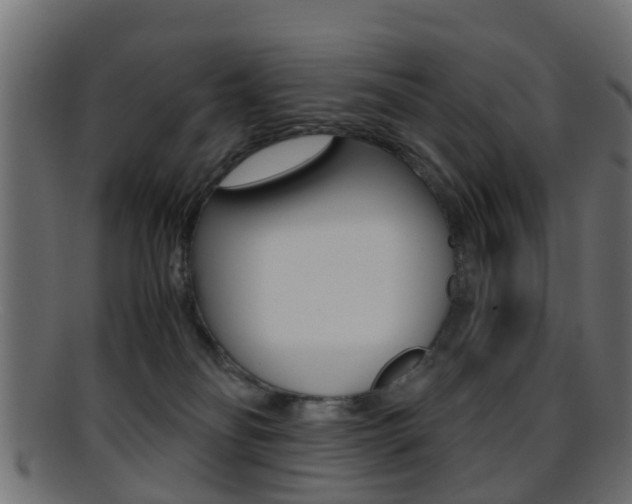 X0000095690134200801081047