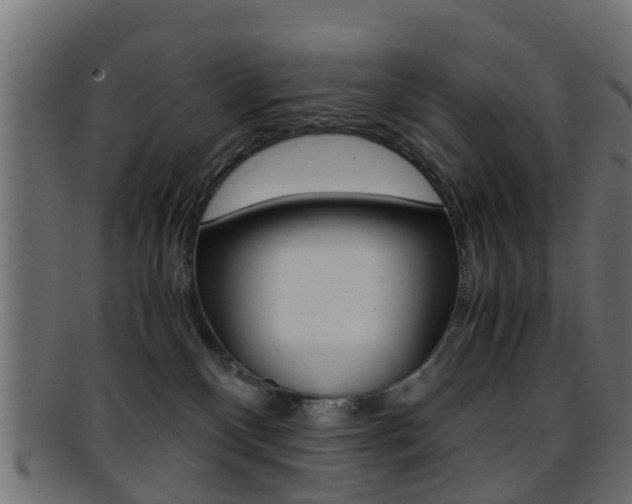 X0000095690136200801081047