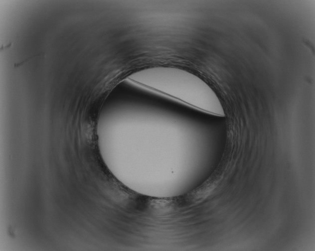X0000095690139200801081047