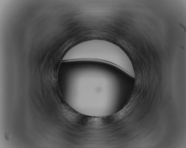 X0000095690140200801081047