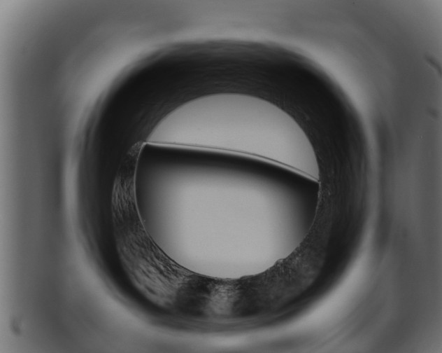 X0000095690143200801081047