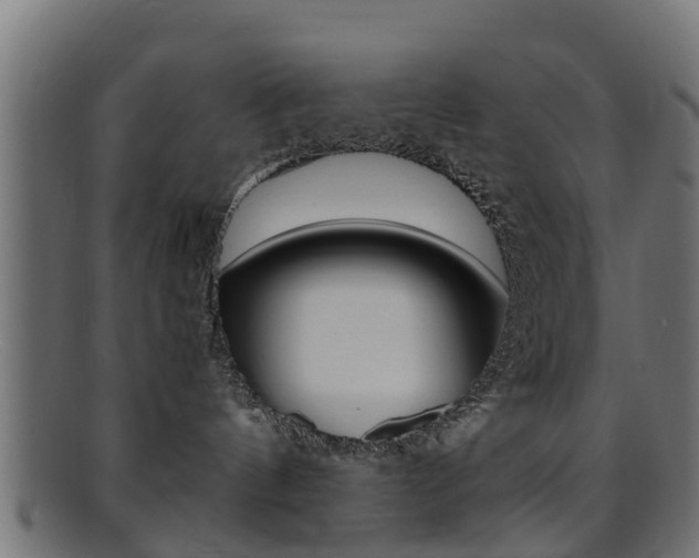 X0000095690144200801081047
