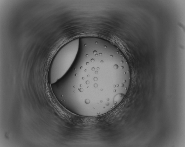 X0000095690145200801081046