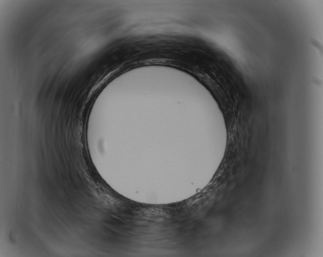 X0000095690146200801081046