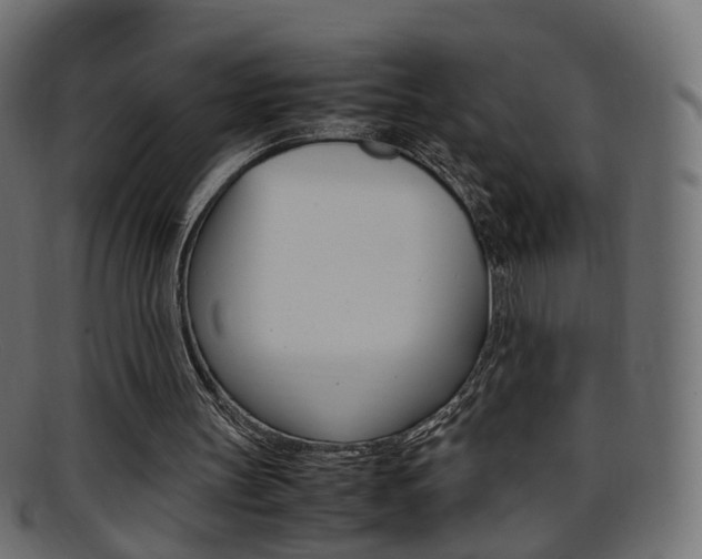 X0000095690147200801081046